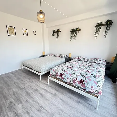Bright In The Heart Of Apartamento *